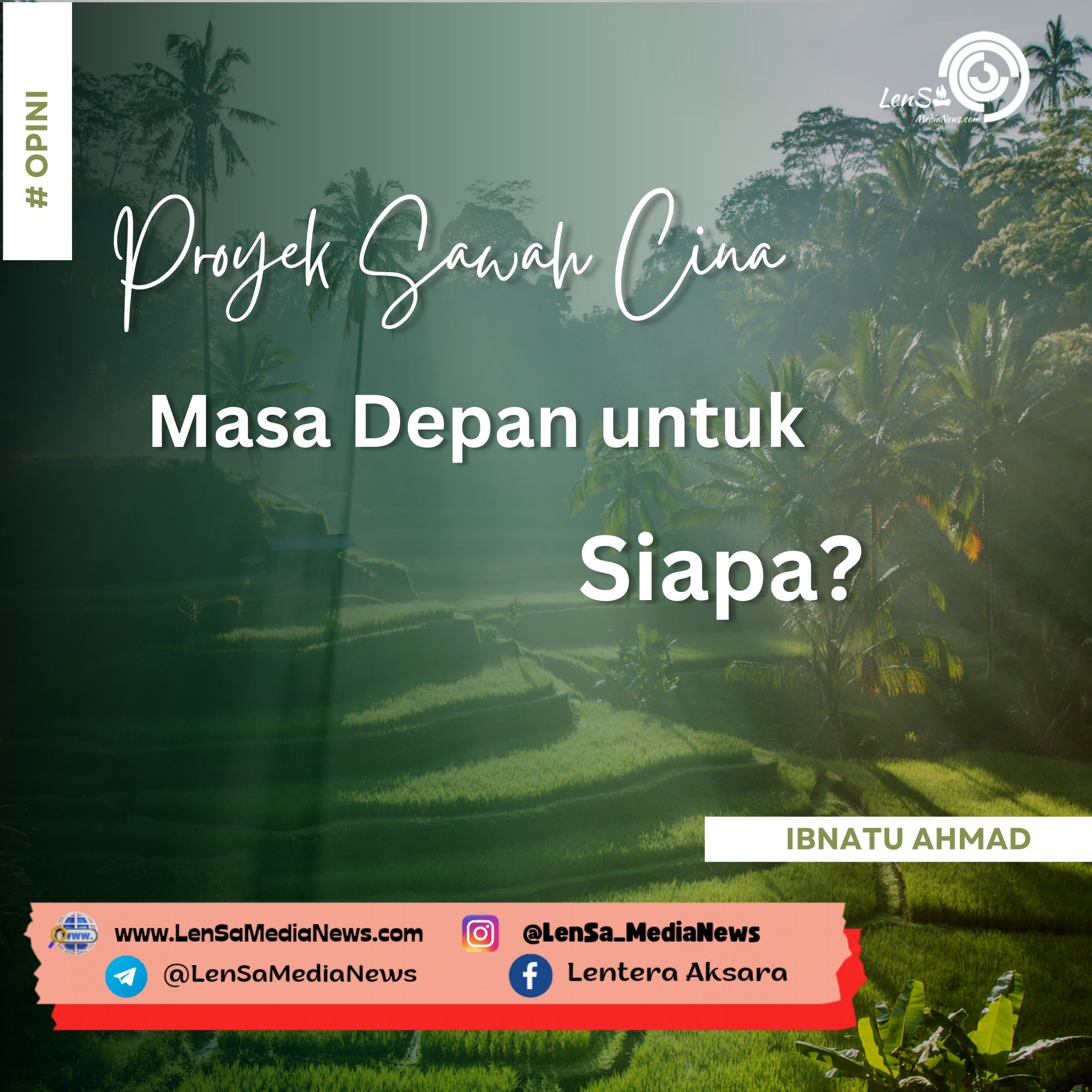 Proyek Sawah Cina Masa Depan Untuk Siapa LenSa MediaNews