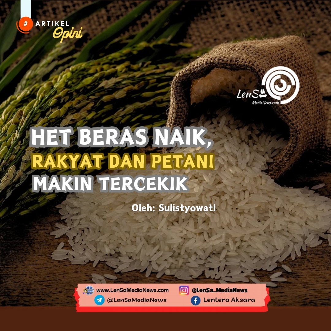 HET Beras Naik Rakyat Dan Petani Makin Tercekik LenSa MediaNews