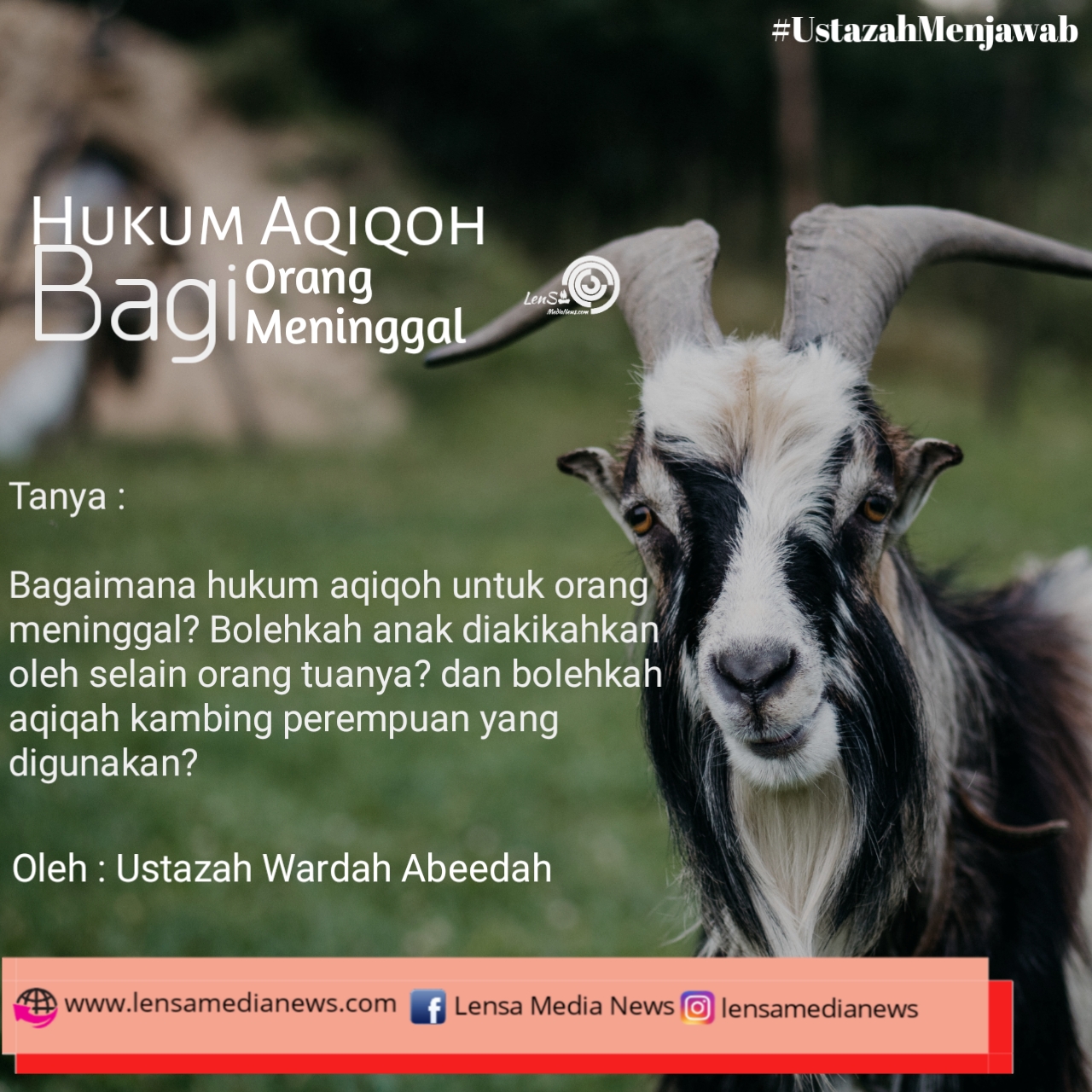 Hukum Aqiqoh Bagi Orang Meninggal Lensa Medianews