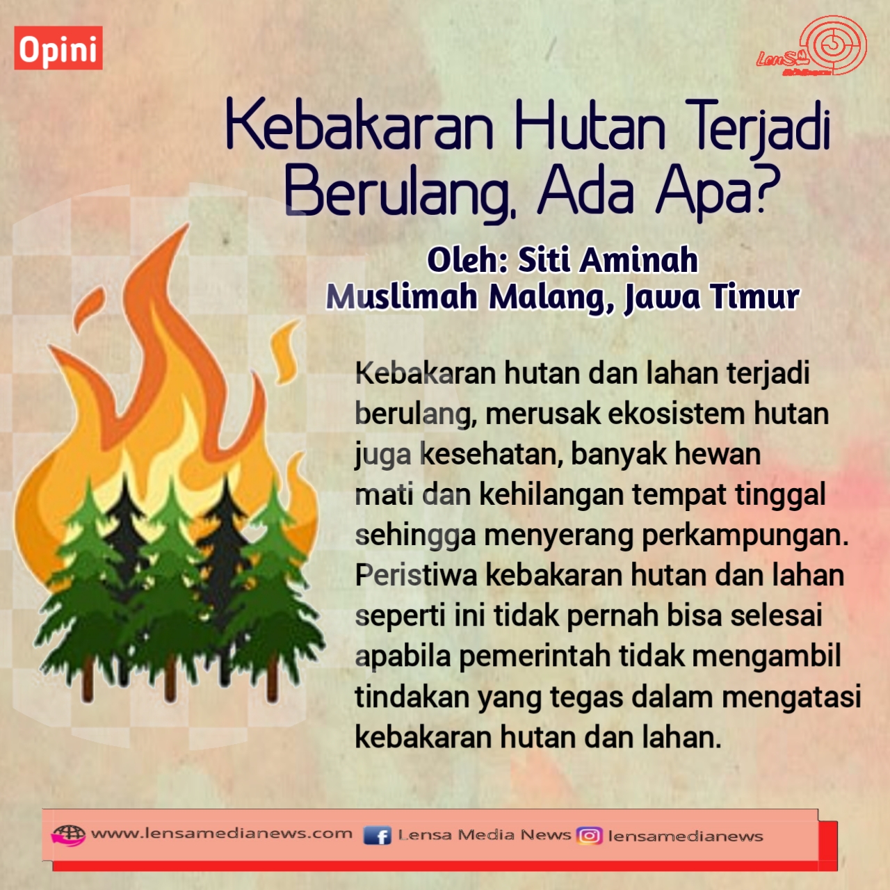 Kebakaran Hutan Terjadi Berulang, Ada Apa? - LenSa MediaNews