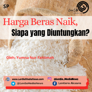 Harga Beras Naik, Siapa yang Diuntungkan?